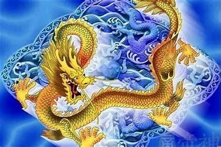 父母属龙和猴，生个牛宝宝好吗
