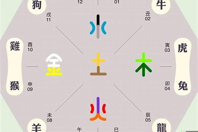 十二地支的卦象