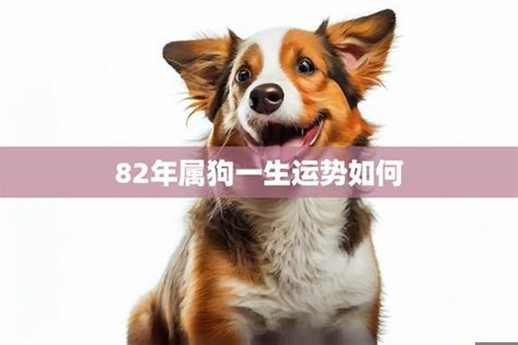 请财神摆放有什么讲究