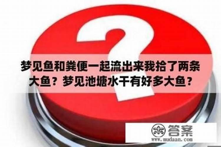 梦见水干了捡了好多鱼