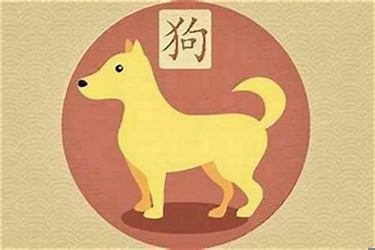 属狗女佩戴什么运气好运