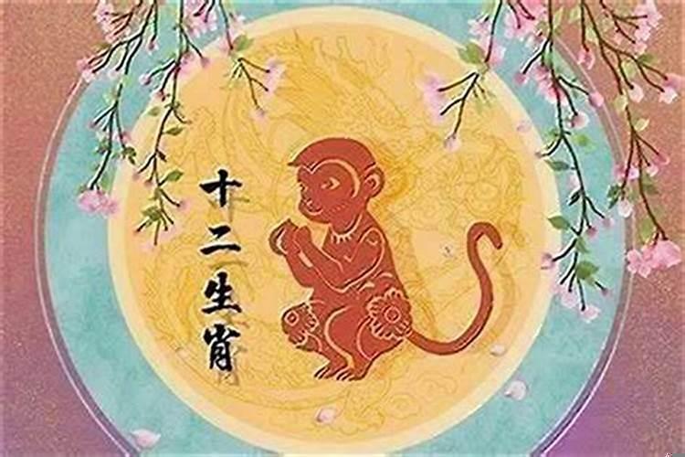 猴和虎属相合不合适