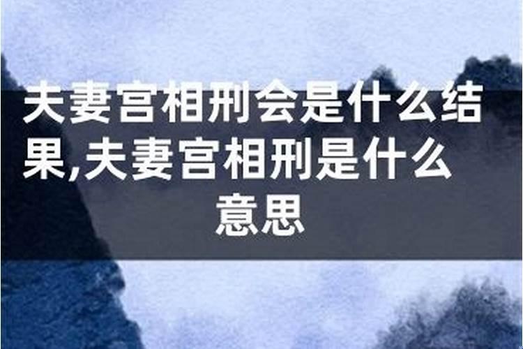 十二生肖婚配相刑