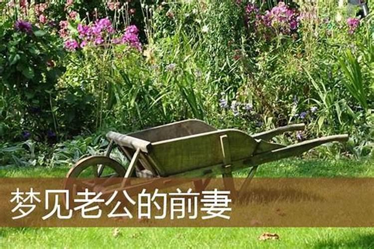 梦见老公他前妻