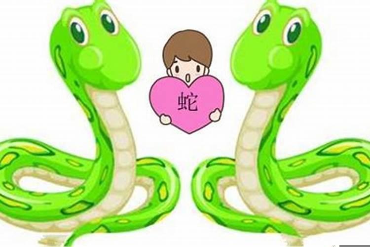 男蛇女龙的婚姻相配吗