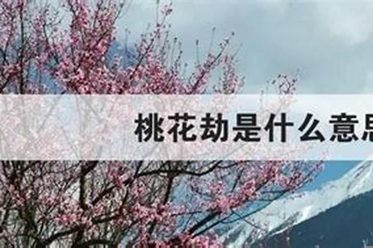 桃花劫的解释
