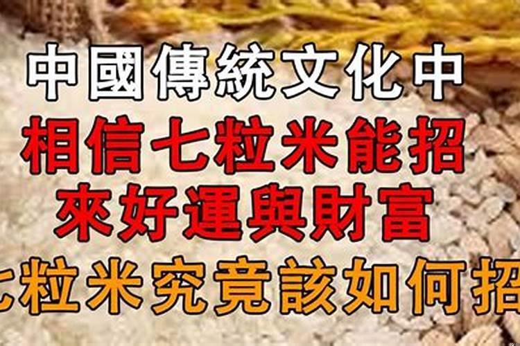 7粒米招财