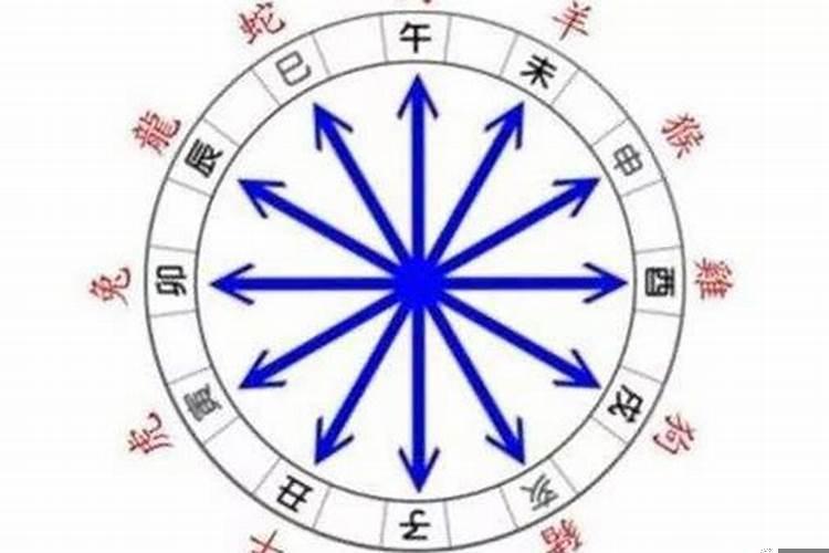 属鸡和属狗相害怎么化解