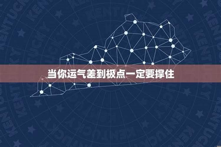 十二种招财花金钱树，什么花可以招财