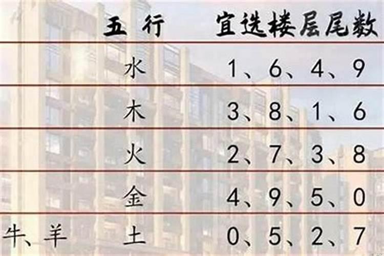什么生肖住什么楼层好