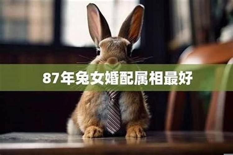 87年的兔和87年的兔相配吗