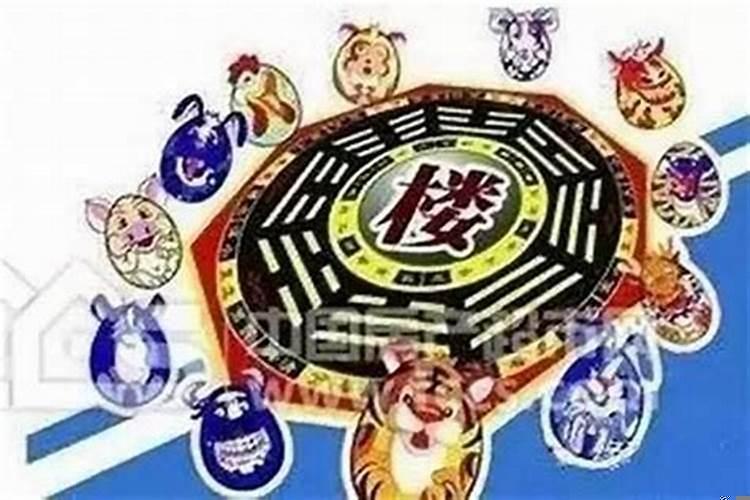 什么生肖住什么楼层好