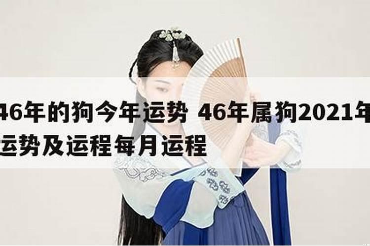 46年属狗