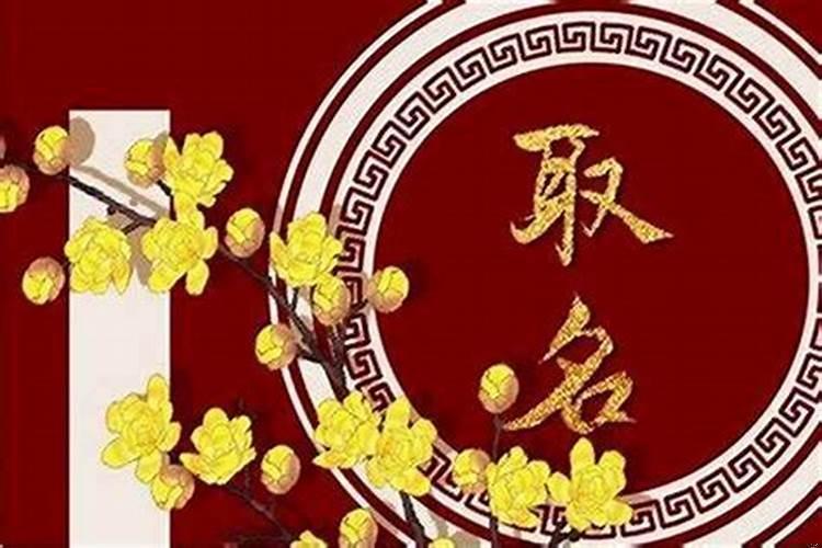 乙未日在辛丑年财库能冲开吗