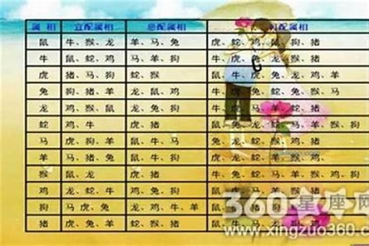 属牛男和狗女的婚姻状况