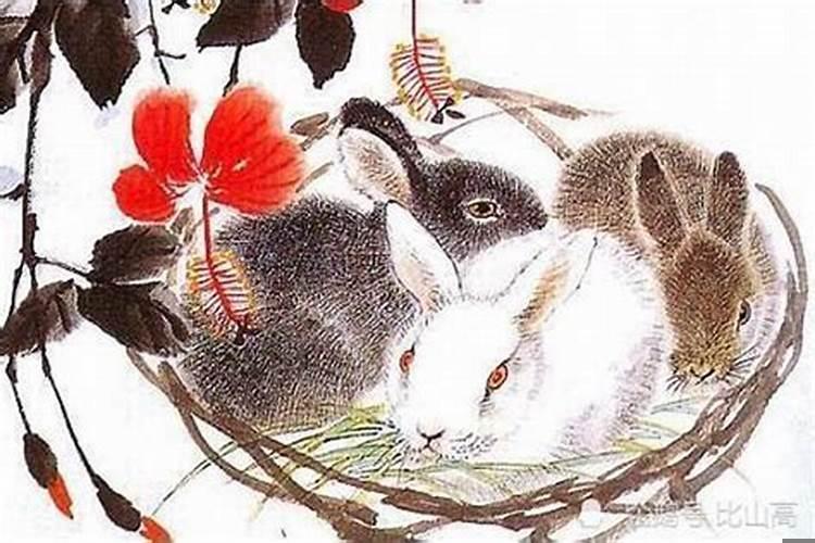 生肖兔十一月份运势如何