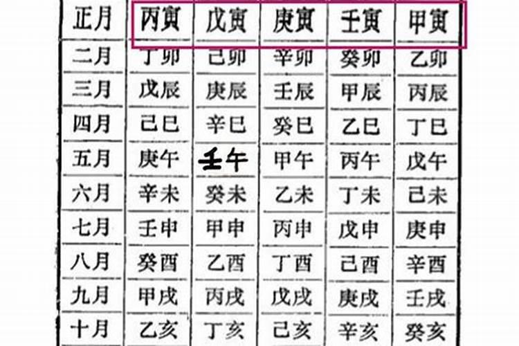 己卯年丁卯月甲子日命