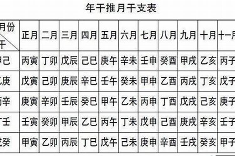 己卯年丁卯月甲子日命