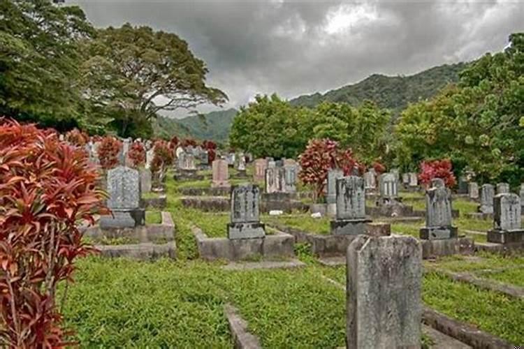 梦到外婆迁坟
