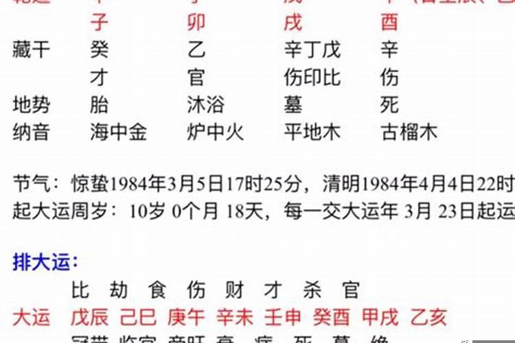 戊戌日柱命理