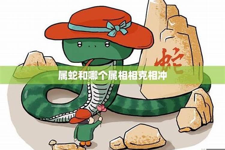 属蛇男和什么属相最不相配