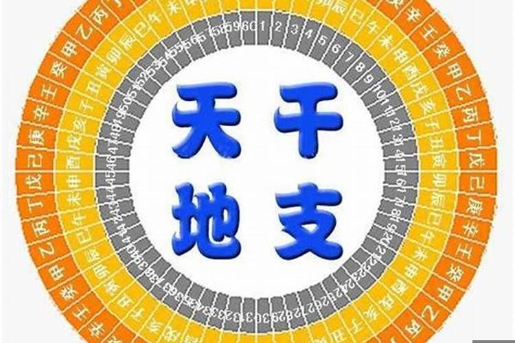 丑未相冲己土旺