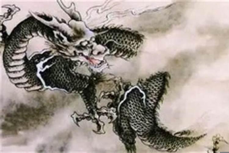生肖龙的名人