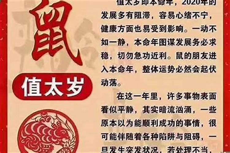正冲偏冲是什么意思