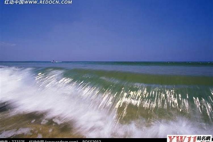 梦见海水涨了很多