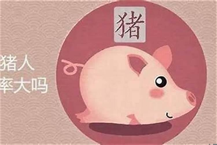 属猪男和什么属相最配、相克