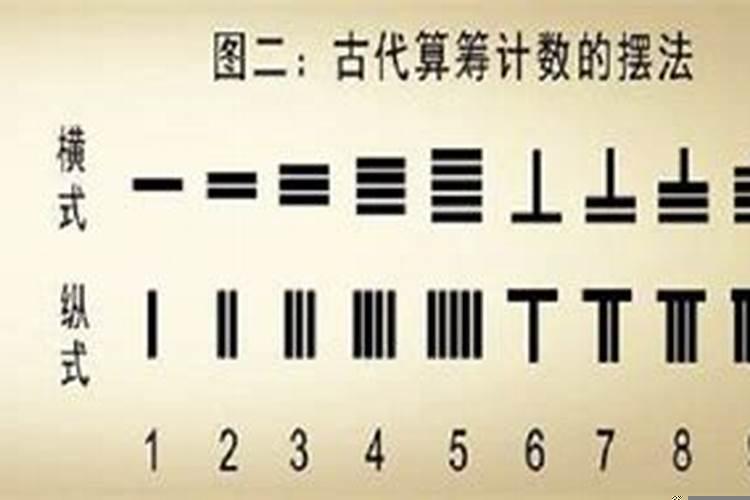 风水说冲猪是什么意思