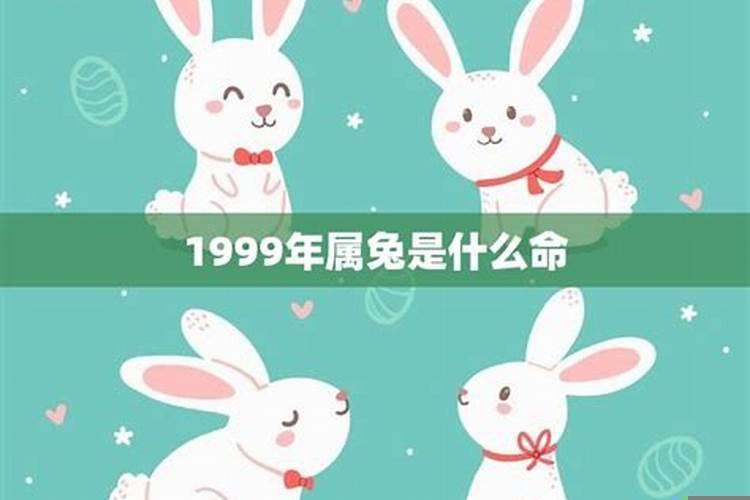 1999年属兔女生性格