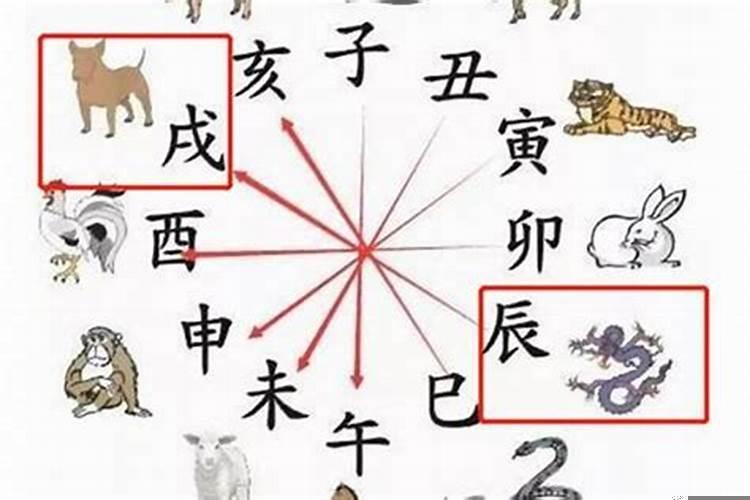 属龙女遇到属狗男