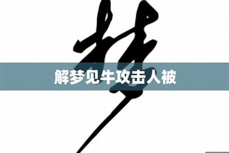 梦见又肥又大的黑色牛仔裤