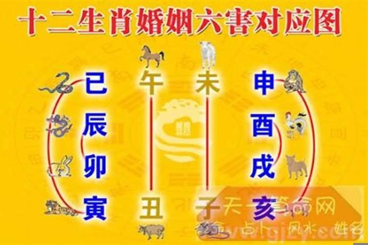 自古婚配口诀