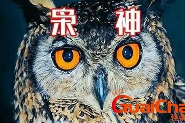 枭食是什么意思