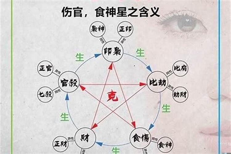 什么算食伤旺
