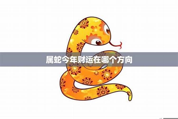 属羊的财运在哪个方位