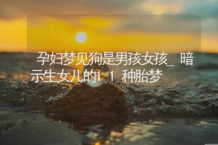 孕妇梦见狗是男孩女孩