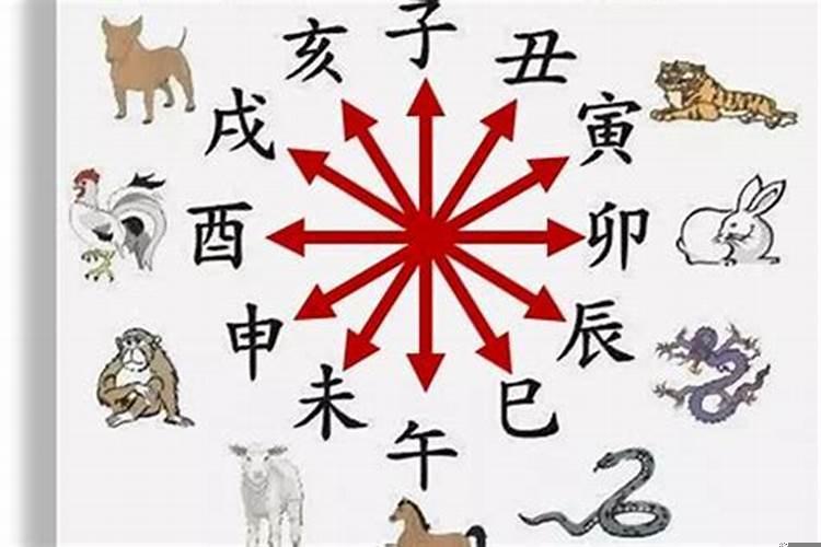 属相相害真的可以化解吗