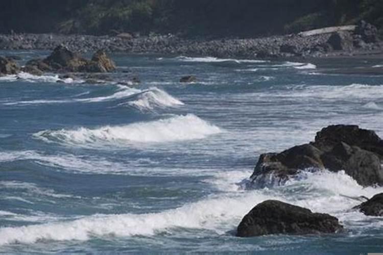 梦见海水涨了很多