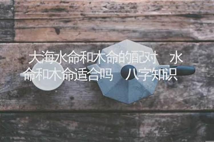 大溪水命和大林木命可以婚配吗