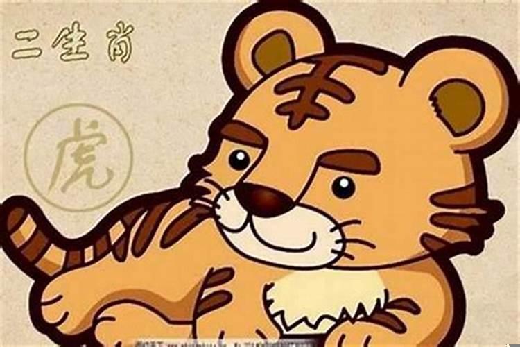 生肖属虎男的最佳配偶