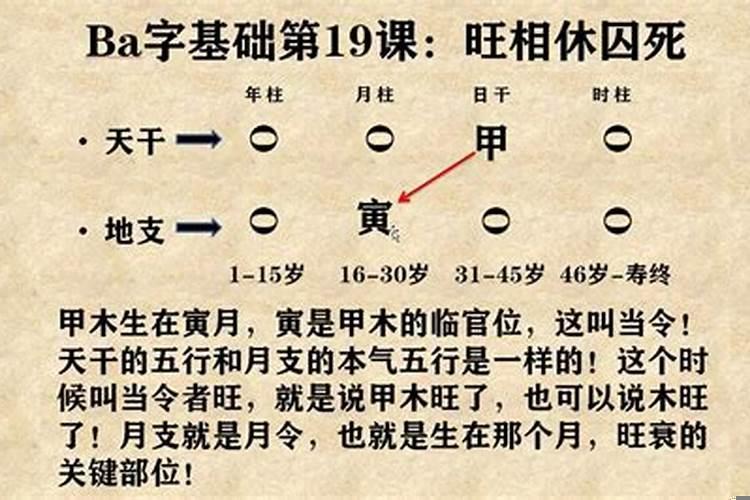 八字命理学基础知识