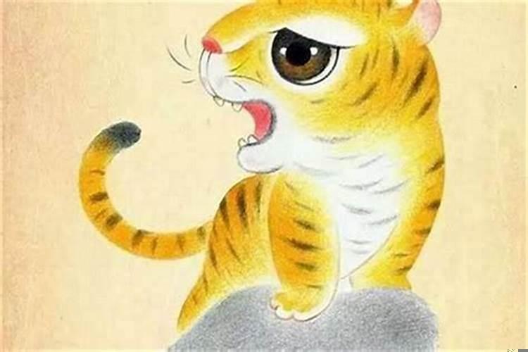 虎和鼠能在一起吗
