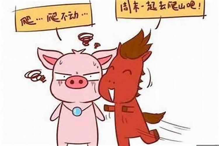 属马男配属猪女情况好吗
