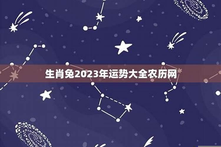 属兔的人2022年运势及运程详解