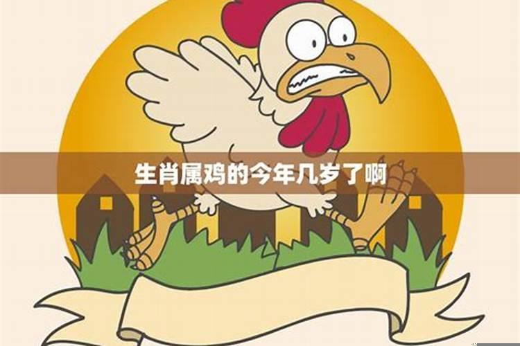 属鸡的今年多大呢