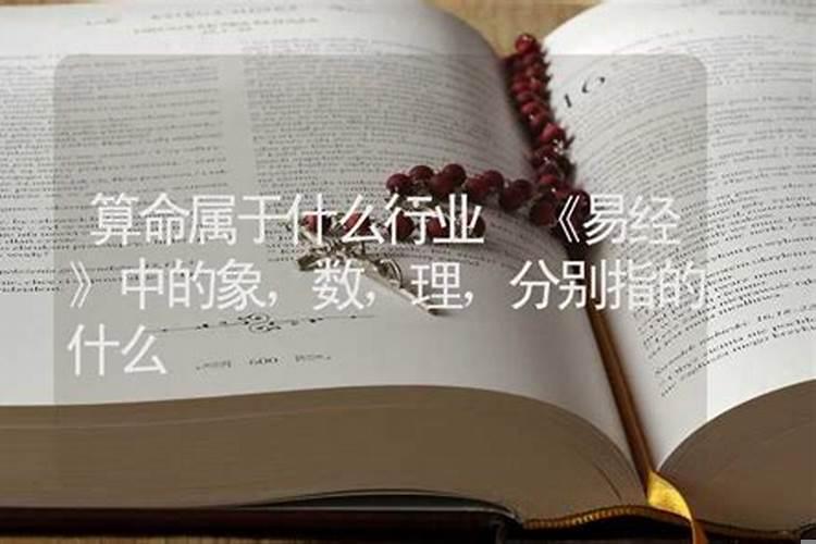 算命先生又称