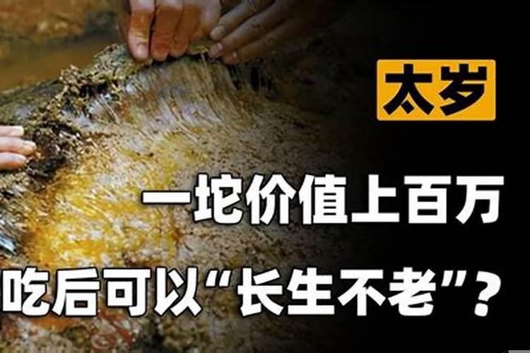 太岁好吃么